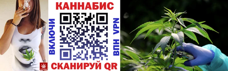 Конопля план  закладка  Навашино 